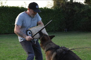 IGP Internationale Gebrauchshundeprufungen